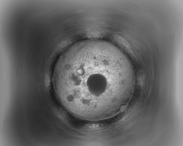 X0000093410687200710190945