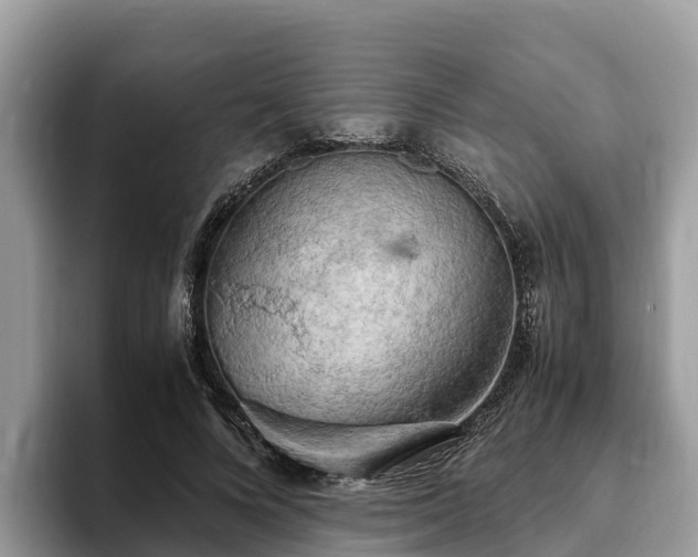 X0000093410688200710190945