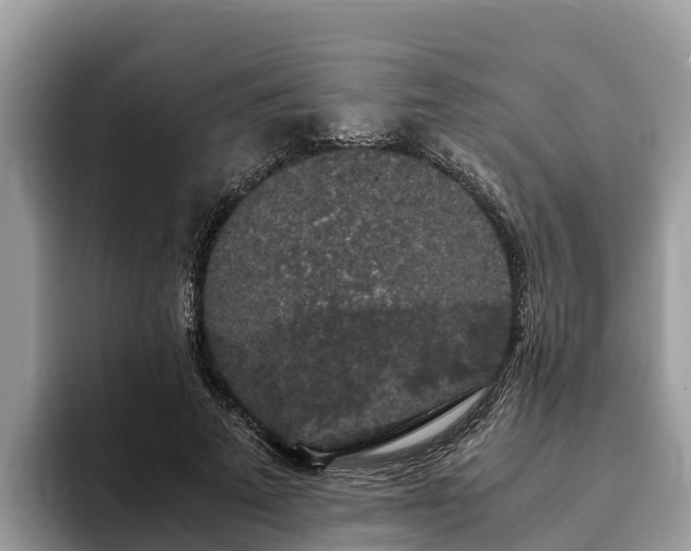 X0000093410689200710190945