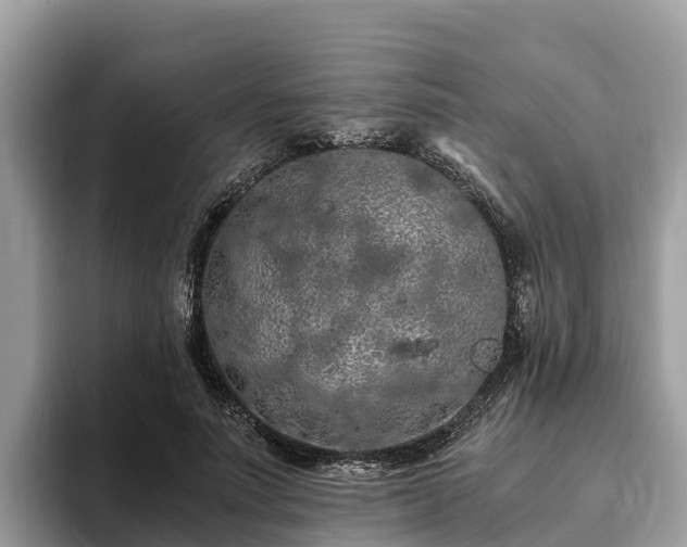 X0000093410691200710190945