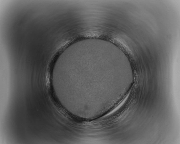 X0000093410692200710190945