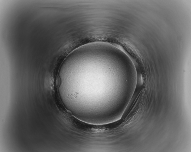 X0000093410693200710190945