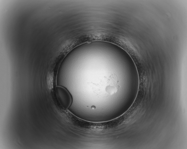 X0000093410694200710190945