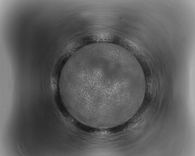 X0000093410695200710190945