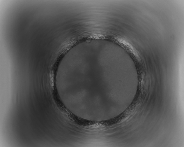 X0000093410696200710190945