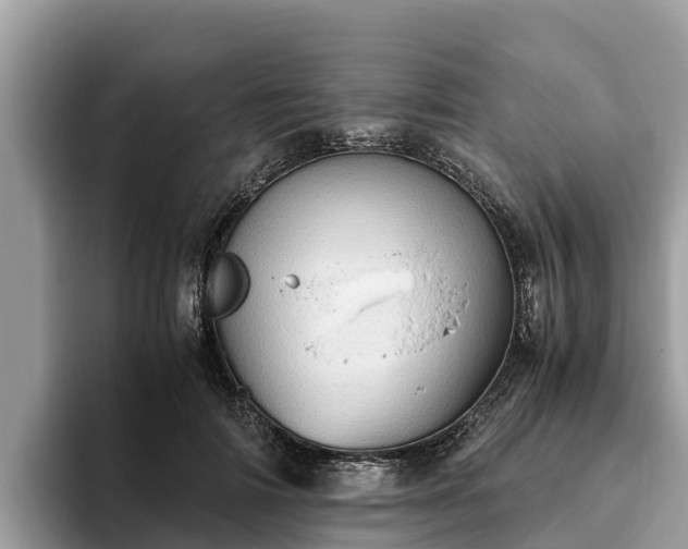 X0000093410698200710190945