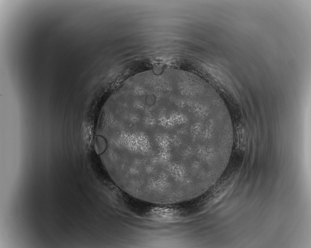 X0000093410699200710190945