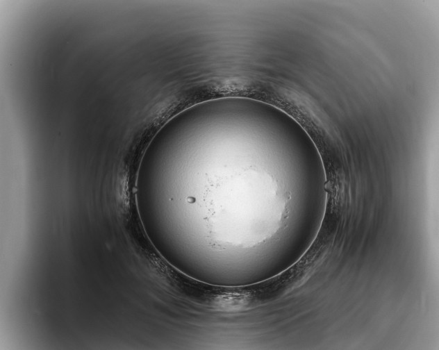 X0000093410700200710190945