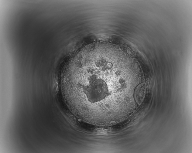 X0000093410703200710190945