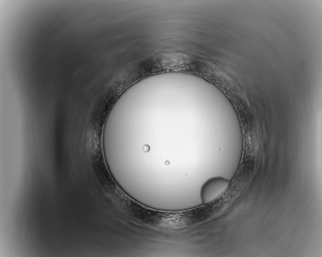 X0000093410705200710190945