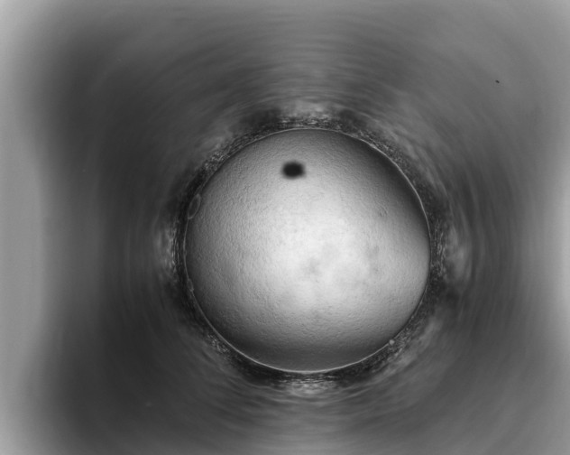 X0000093410708200710190945