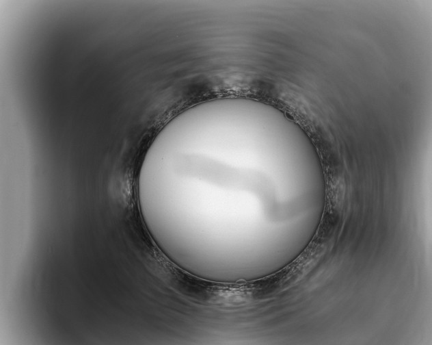 X0000093410709200710190945