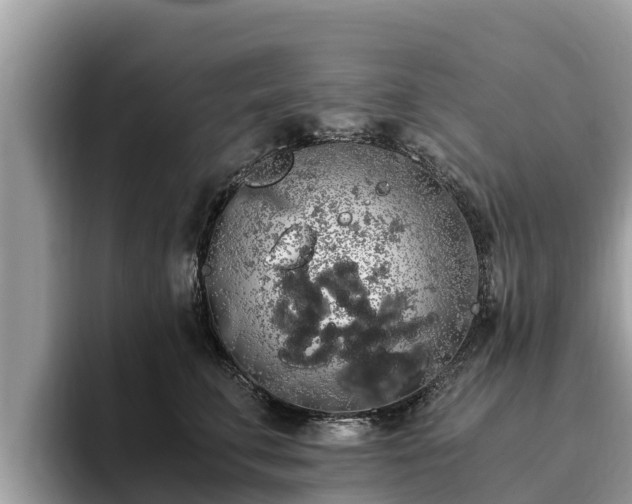 X0000093410711200710190945