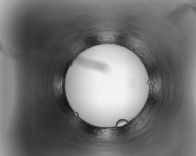 X0000093410717200710190945