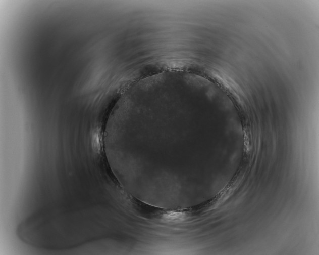 X0000093410718200710190945