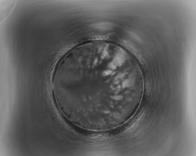 X0000093410721200710190944