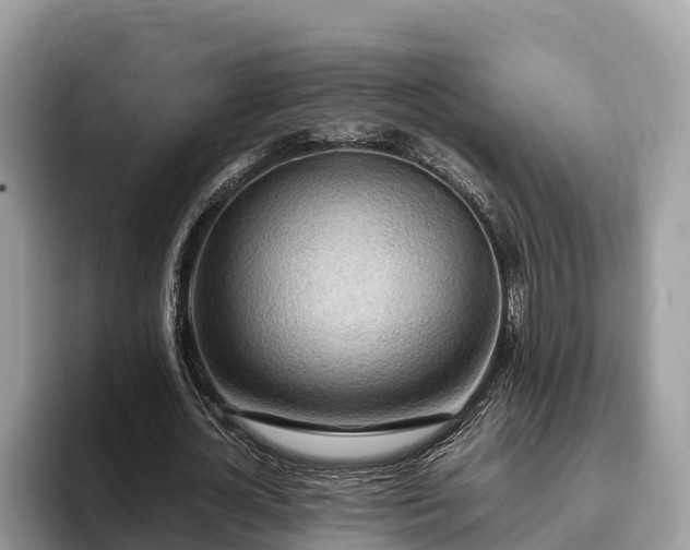 X0000093410724200710190944