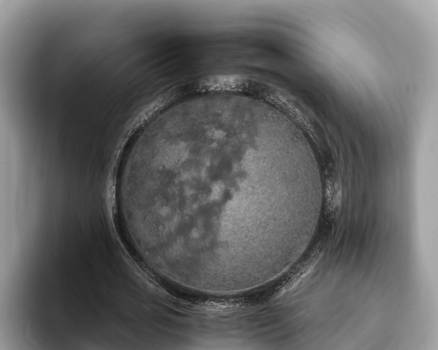 X0000093410725200710190944