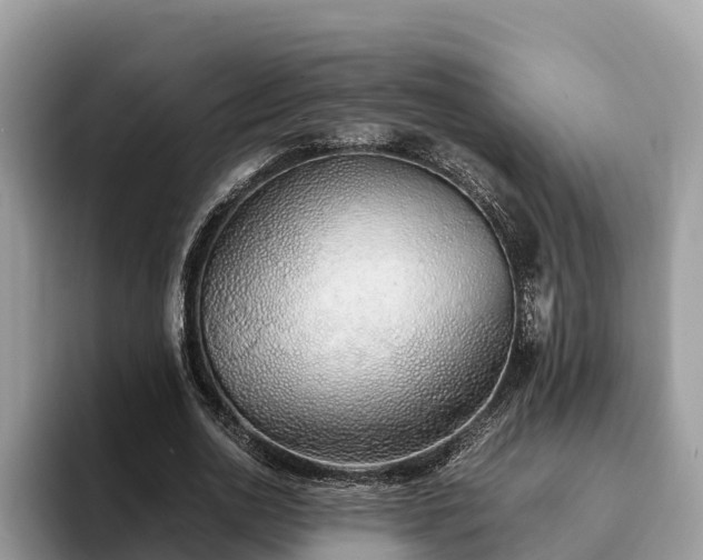 X0000093410726200710190944