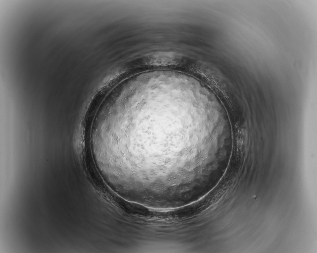 X0000093410727200710190944