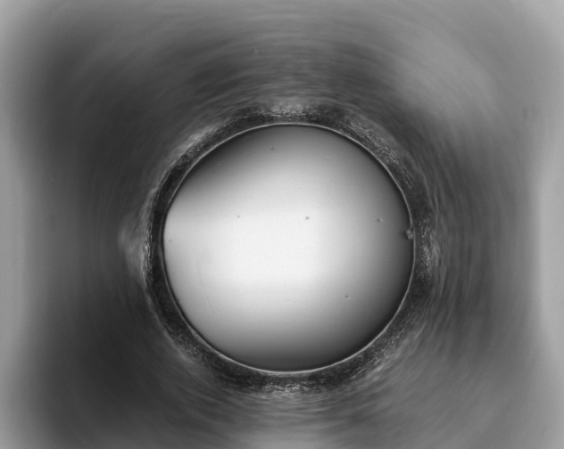 X0000093410728200710190944