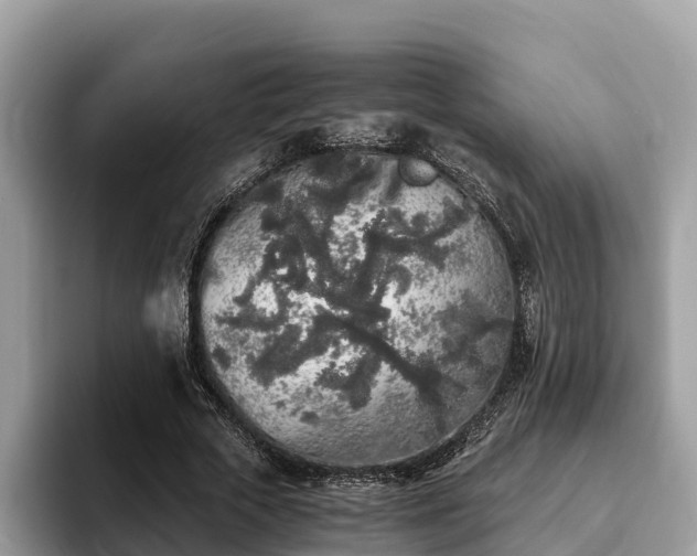 X0000093410729200710190944