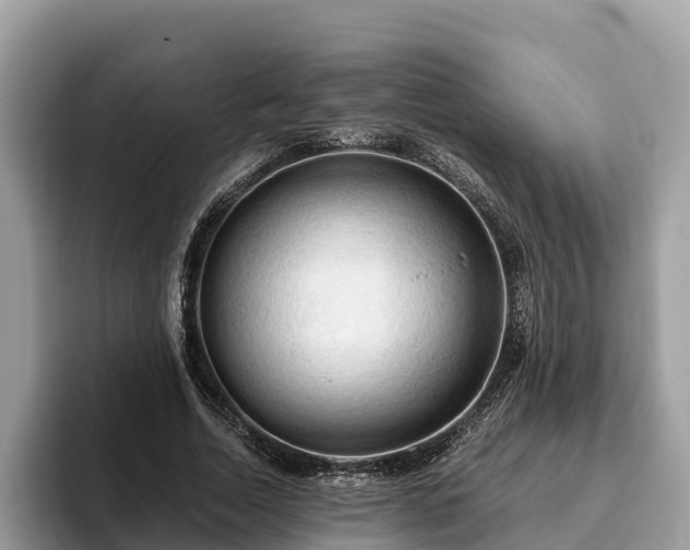 X0000093410730200710190944