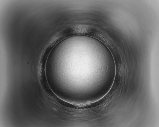 X0000093410731200710190944