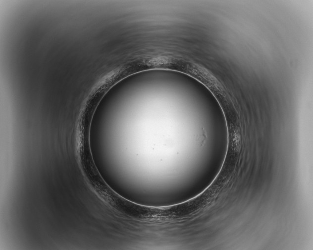 X0000093410732200710190944