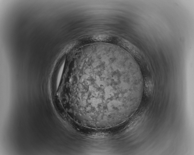 X0000093410734200710190944