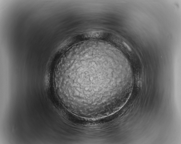 X0000093410735200710190944