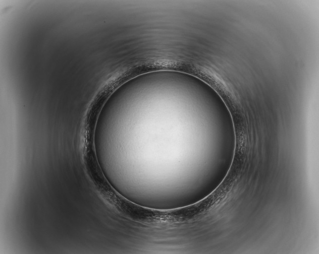 X0000093410736200710190944