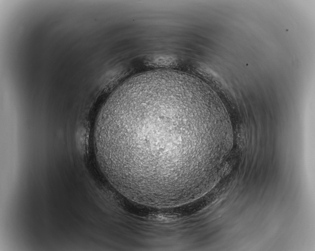 X0000093410739200710190944