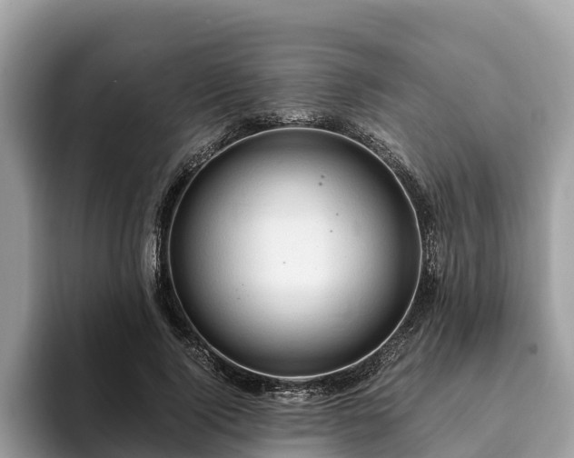 X0000093410740200710190944