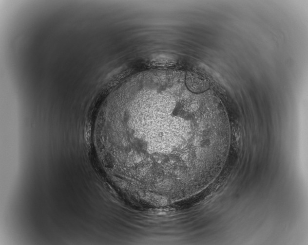 X0000093410745200710190944