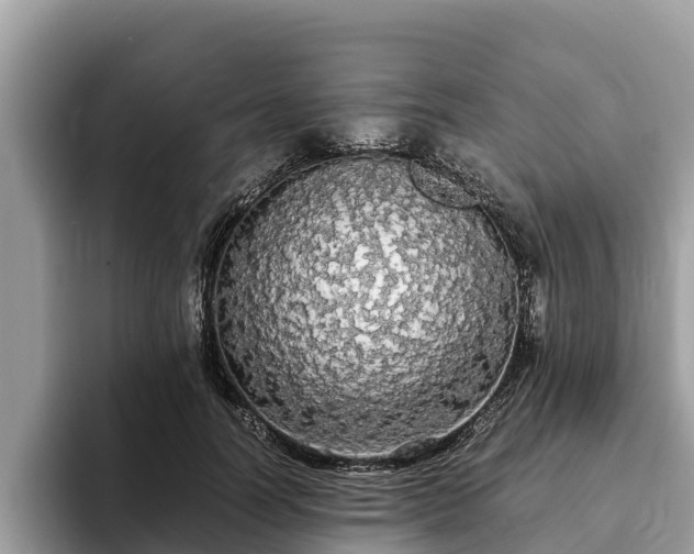 X0000093410746200710190944