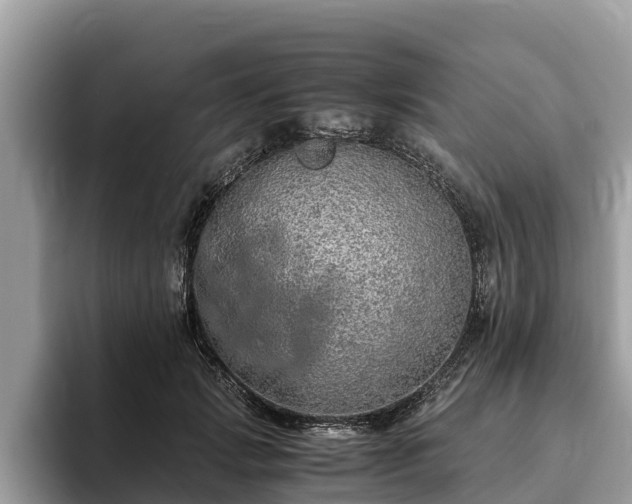 X0000093410749200710190944