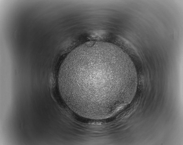 X0000093410751200710190945