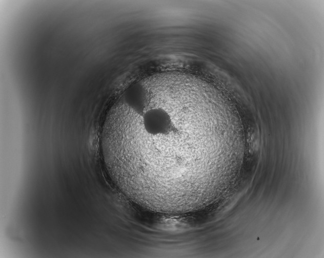 X0000093410753200710190945