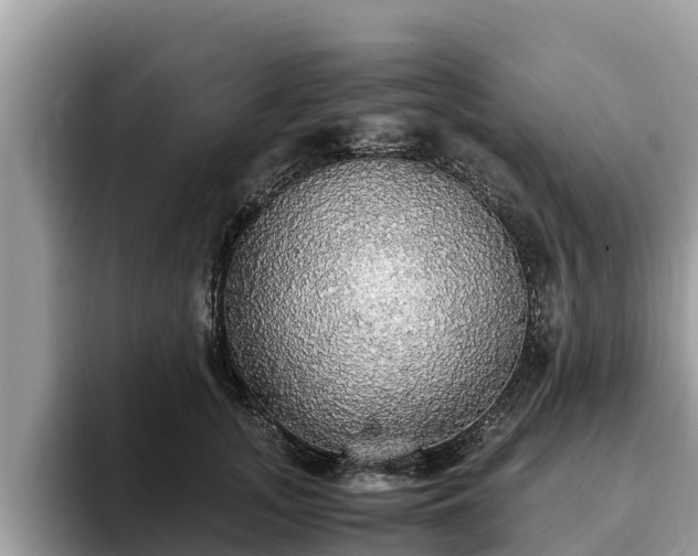 X0000093410755200710190945