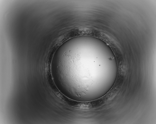 X0000093410756200710190945