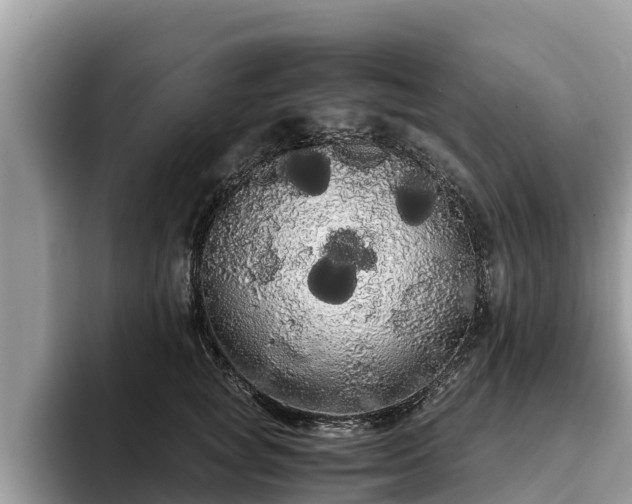 X0000093410757200710190945