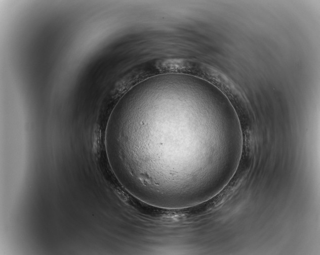 X0000093410760200710190945