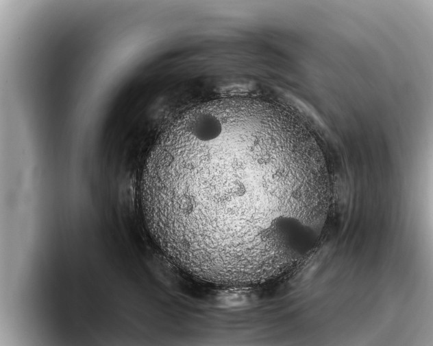 X0000093410761200710190945