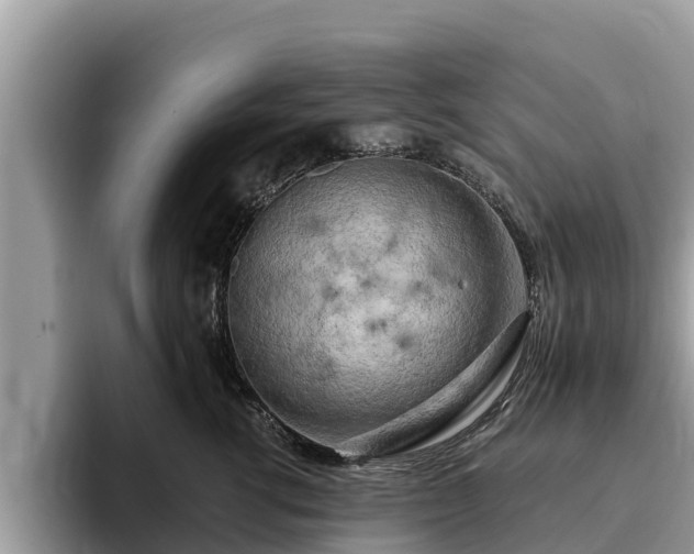 X0000093410762200710190945