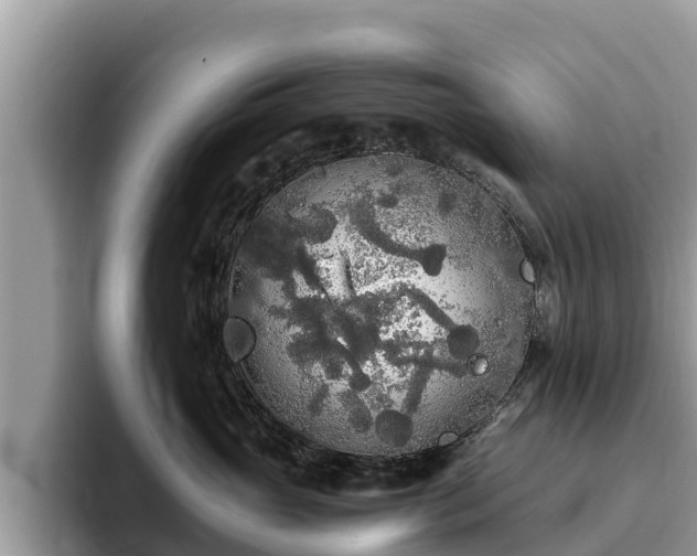 X0000093410765200710190945