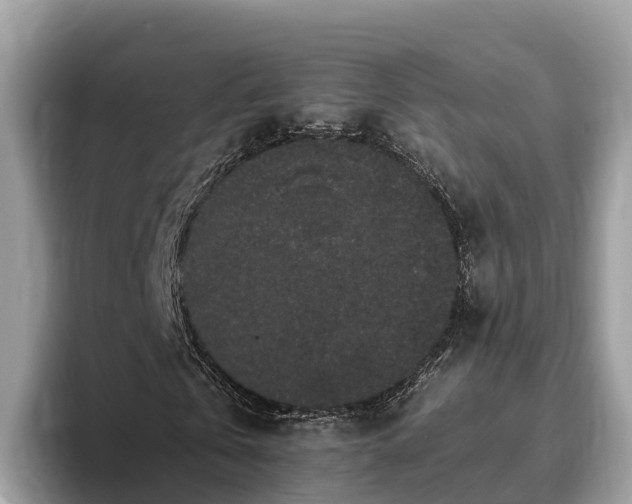 X0000093410769200710190944