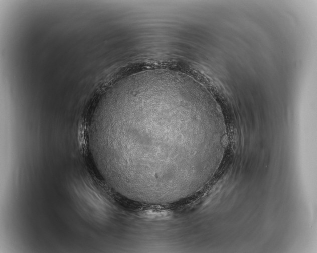 X0000093410770200710190944