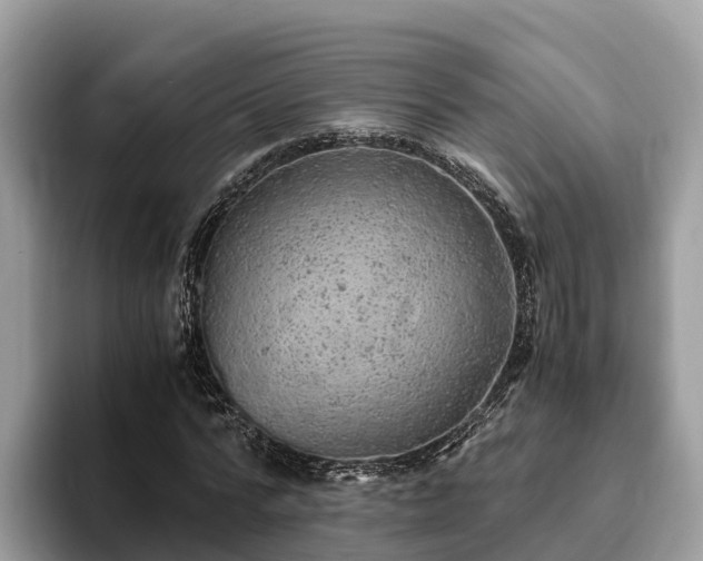 X0000093410776200710190944