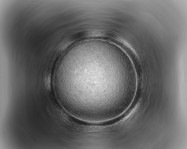 X0000093410777200710190944